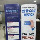 보람수영장 | 보람동복컴 수영장으로 원정 수영 간 후기