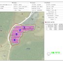 영주태양광발전소 이미지