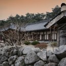 흥부전 | 흥부전 완벽 정리 (줄거리, 인물분석, 문화의미)
