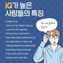 IQ가 높은 사람들의 특징 이미지