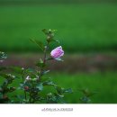 (주)경주산림환경 이미지