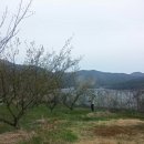 재홍농장 이미지