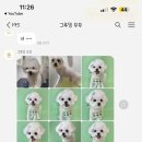 그루밍무무 네이버블로그