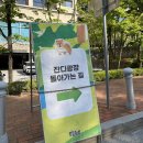 막내카 | 막내 참가댕의 2025 댕댕트레킹 후기⛰️🥾 / 견생 첫 트레킹 4K 완주 🏅주차 기념품 재방문 의사 💯