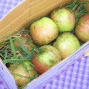 문경영순우체국 이미지