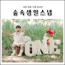 5779 | 대전 아기 돌사진 야외돌촬영 숲속생일스냅