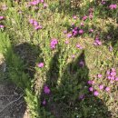 🌼🌸4월의 달로그_2🌸🌼