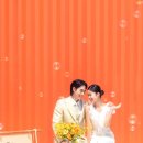 로브블랑쉬 이미지