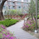 쌍용동일하이빌아파트 이미지