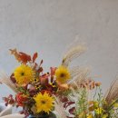 요미브런치 이미지