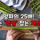 양파의 25배! 치솟는 “혈당”잡는 채소의 왕 이미지