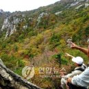 스무숲