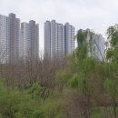 생기자리공원 이미지