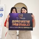 강남고양이 분양 히어로펫 | 서울 강남고양이분양 레알 후기