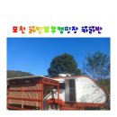 포천 레인보우캠핑장 카라반 솔직 후기!