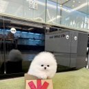 만남-행복한꿈 이미지