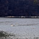 경안천습지생태공원 Daum카페