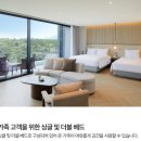 명당갈비 | [제주 숙소] - 파르나스 제주 내돈내산 후기 (수영장 인생샷 명당 with 프리미어 패밀리 트윈룸)