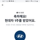 해피토스 이미지