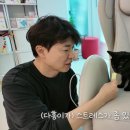다홍 MK스포츠
