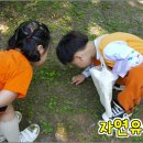 자연숲 유치원 이미지