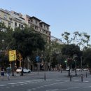 CASA408 | [스페인 바르셀로나 여행] #4. DAY 1 : 빠에야 대회 우승 맛집 LA PAELLA DE SU DIAGONAL / 젤라또 맛집...