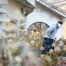 엠포레11 이미지