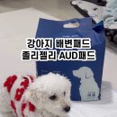 펫츠다이닝(pet's dining) 네이버블로그