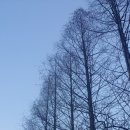 빛과 소금 이미지