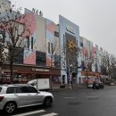 11260-3-64-22 | 3번째 난자채취 후기 난자 22개 채취한 시험관 준비 일기 분당차난임센터 이정은교수님