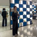 마르가요가원 | 키밍ootd : 2월 일주일 센스있게 돌려입기, 스니커즈 코디 / 르깜봉 켈리팬츠, 와이드 팬츠, 아틀리에...