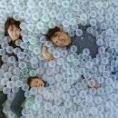 자넷 앤 캐시 이미지