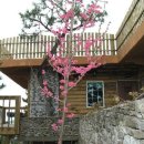 은빛바다펜션 이미지