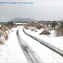 성산읍-4 이미지