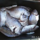 남해-318 이미지