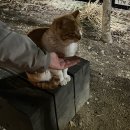 별난공주 | 별난 조합 같지만 그게 묘미라지