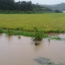 장안배수펌프장 이미지