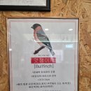 아지트바버샵