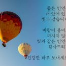 에버그린베스트 네이버블로그