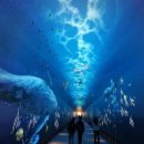 와부체육문화센터 이미지