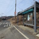 법흥3리 티스토리