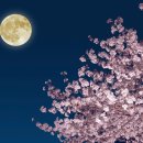 FULL MOON 이미지