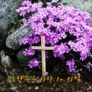 오포1동-14 이미지