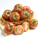 토마토2 이미지