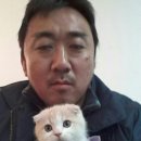 나랑놀자! 이미지