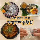 막썰어횟집 | 싱싱한 회 해산물 맛집 막썰어파는횟집 서면 후기