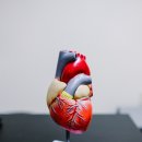 오장밥상 이미지