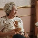 서구-01-158 이미지