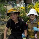 아라메길(3) 이미지