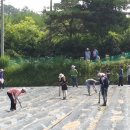 자매축산 이미지